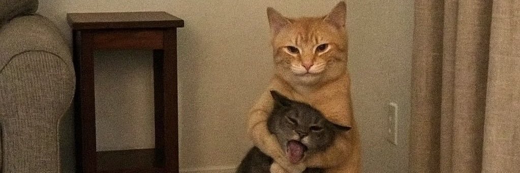 justlikelj_'s profile banner image
