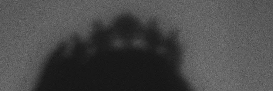 lalilenarduzzi's profile banner image