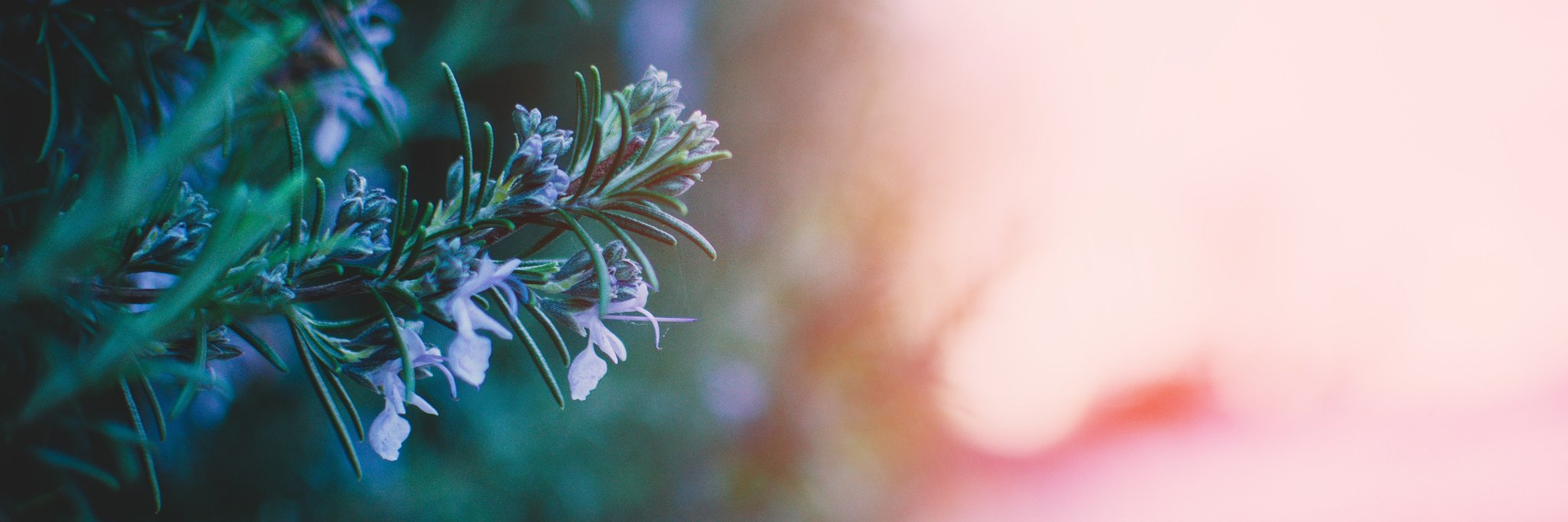 BCYAYM's profile banner image