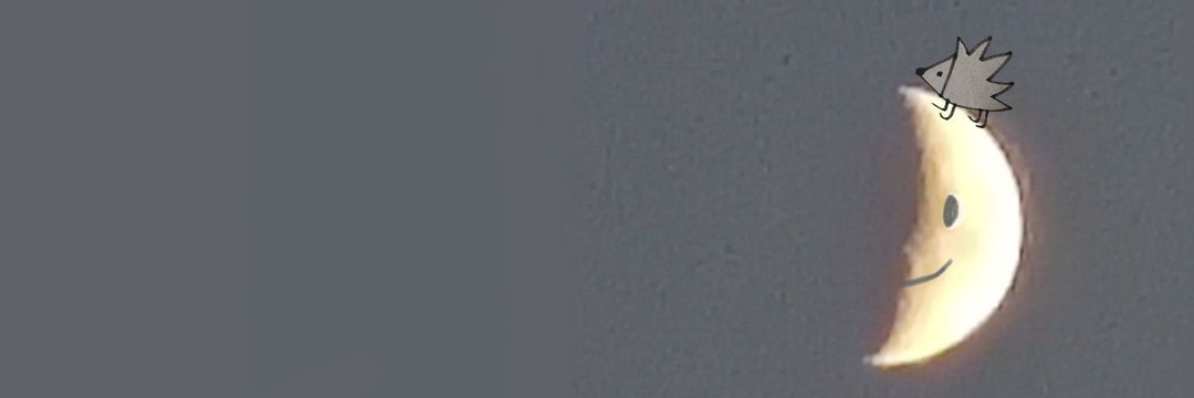 scurrgrrl's profile banner image