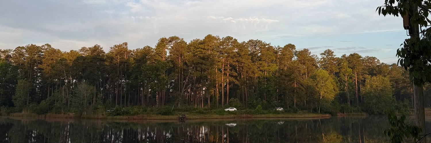 smczva's profile banner image