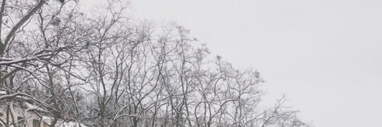b_feryal's profile banner image