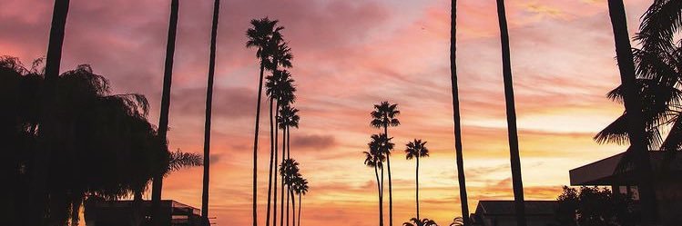 ari_7121979's profile banner image