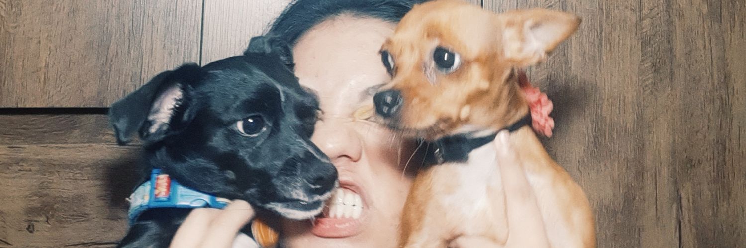 eemmaaev's profile banner image