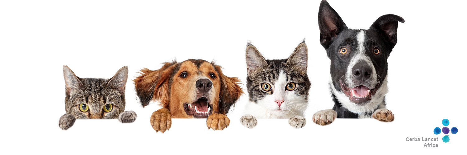Vet_CLK's profile banner image