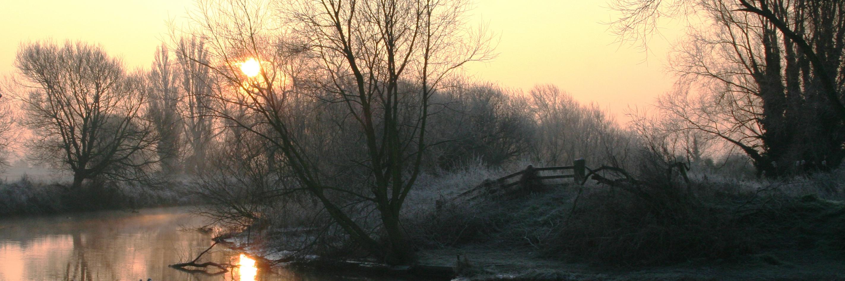 RDR Pest Management banner