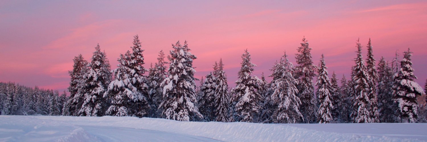 thewanderlustbg's profile banner image