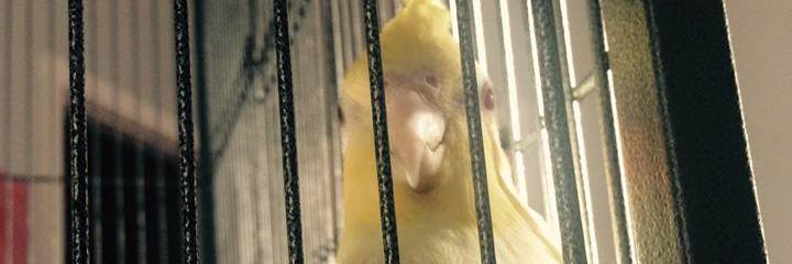 valleytiel's profile banner image