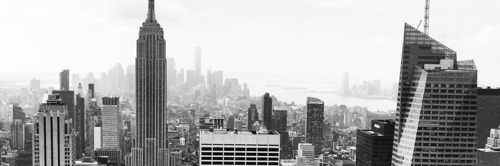 Sofiejbfa's profile banner image