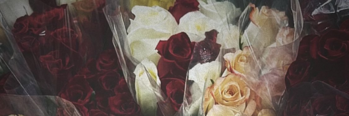 Bria🧞‍♀️💞✨'s banner