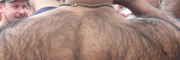 bearjocknet's profile banner image