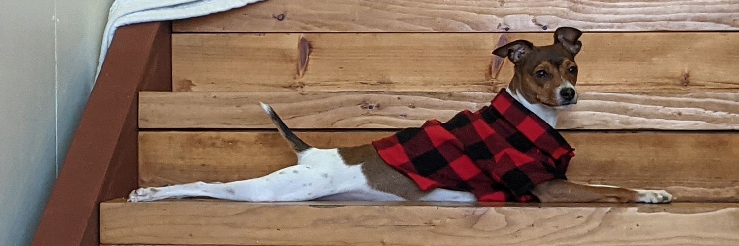 Kenneth E in the 503 banner