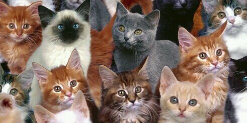 kmblaser's profile banner image