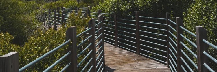 M. Washington banner