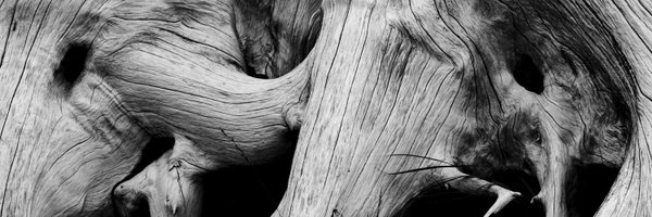 jgilchrist13 Profile Banner