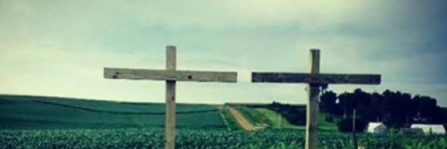 BaileyMoret's profile banner image