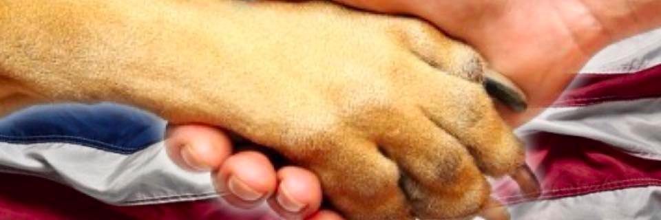 onelasttreat's profile banner image