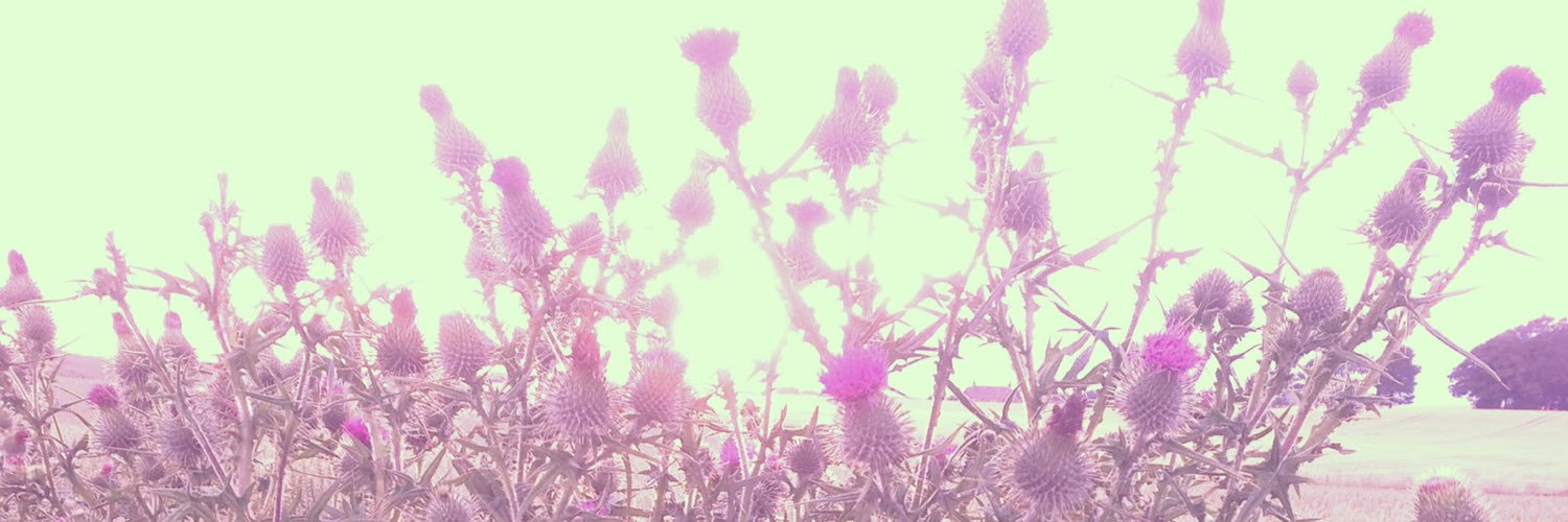 BlueBlueBase's profile banner image