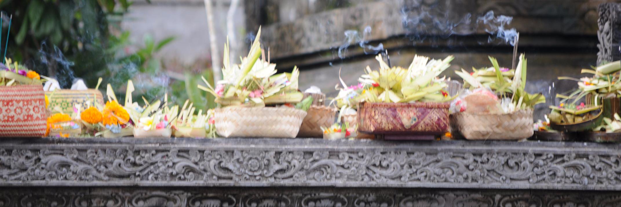 steffiwidmer's profile banner image