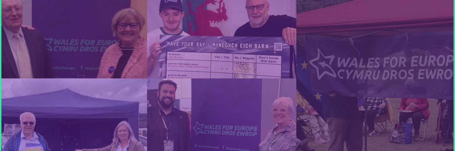 Wales For Europe ⭐️ Cymru Dros Ewrop's banner