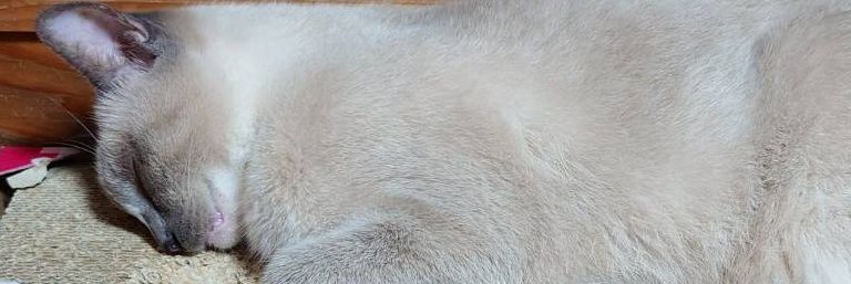 mannen02's profile banner image