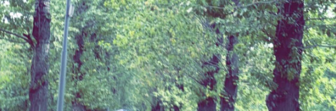ناصر العريفي banner