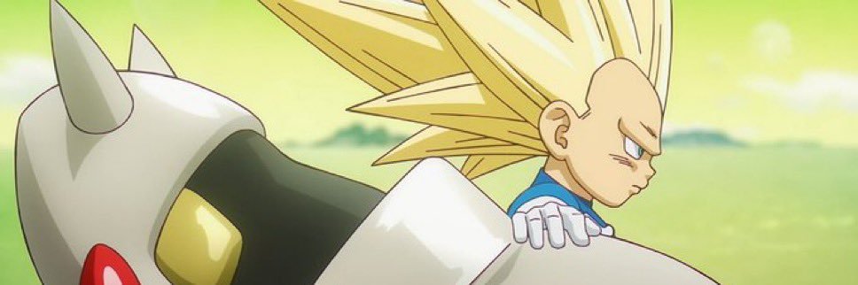 Ladyrugz banner