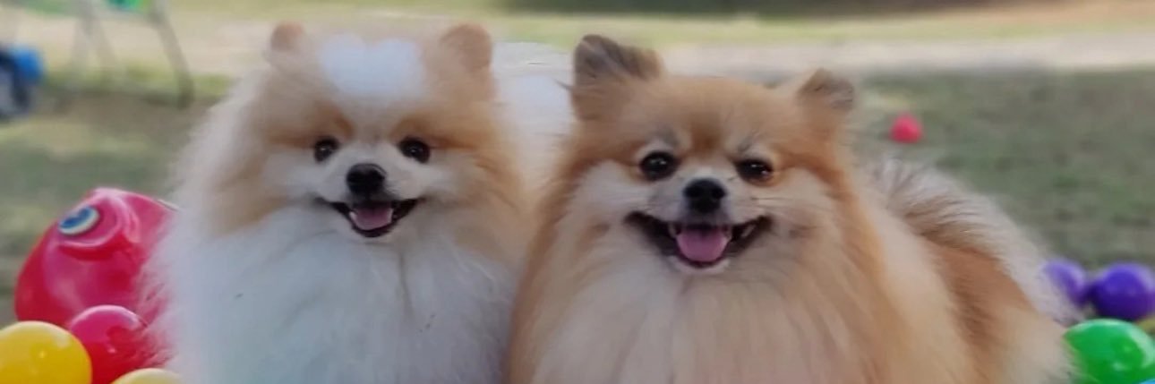 Luufl1's profile banner image