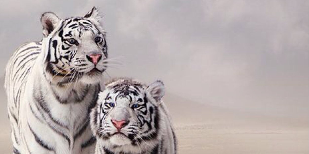 SabastionR's profile banner image