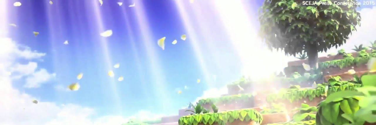 JordanLacerta's profile banner image