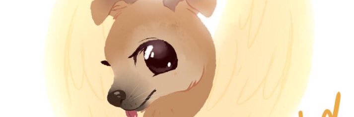 nteqroo's profile banner image