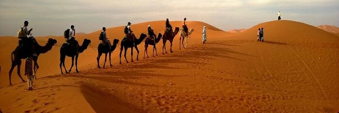 Jaisalmer Tour Guide banner