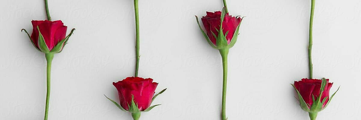 lizzeth10_'s profile banner image