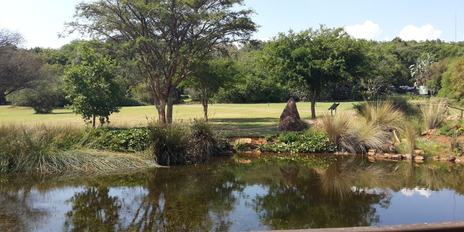 Lydia Craemer banner