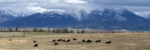 laxrisa25 Profile Banner