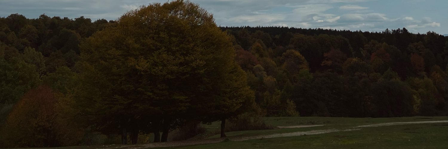 snasahinn's profile banner image