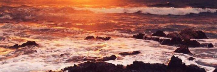 nwaffff1993's profile banner image