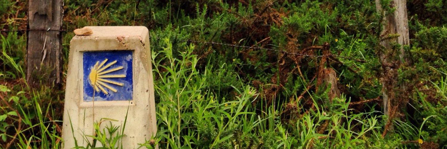 senorhoback's profile banner image