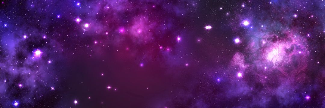 spookyshiba's profile banner image