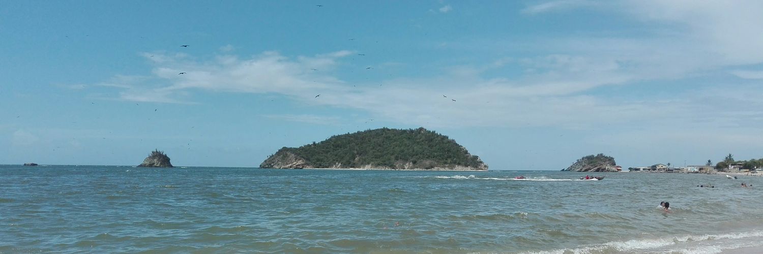 vickguevara's profile banner image