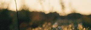 _citrusbox's profile banner image