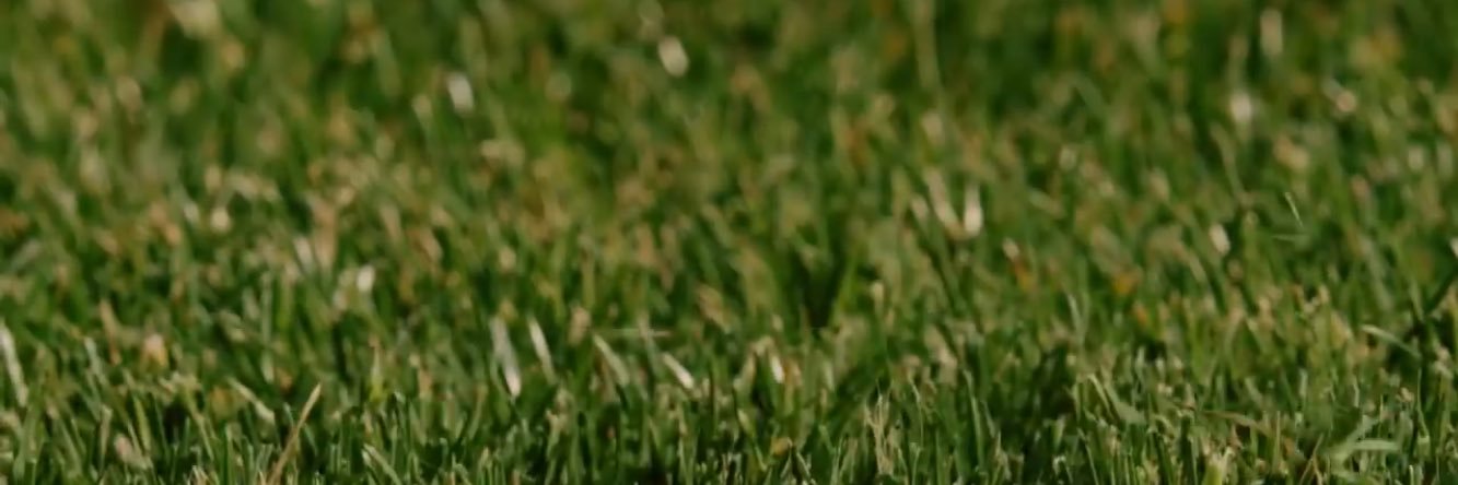 luka_laban_'s profile banner image