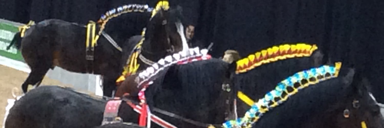 Roodles banner