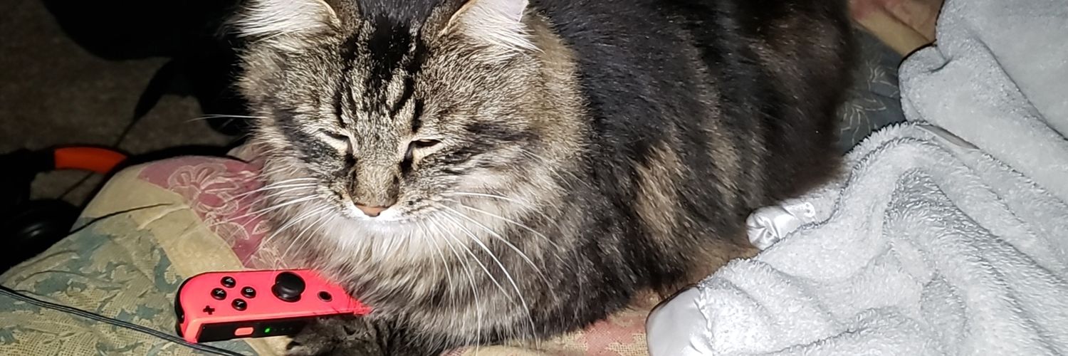xJoeyScoops's profile banner image