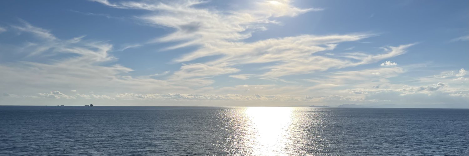 msrip0p0's profile banner image