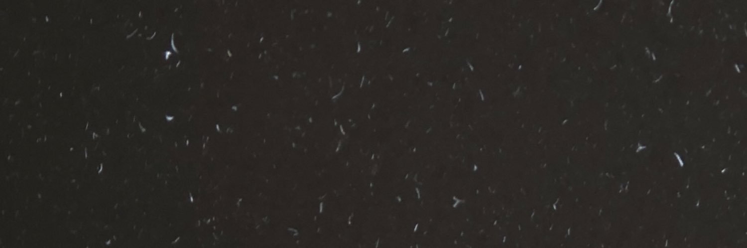 Tyler king banner
