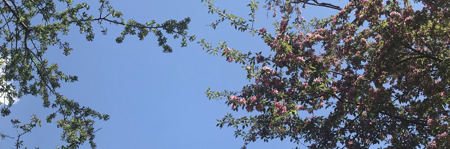 GraceClawson's profile banner image
