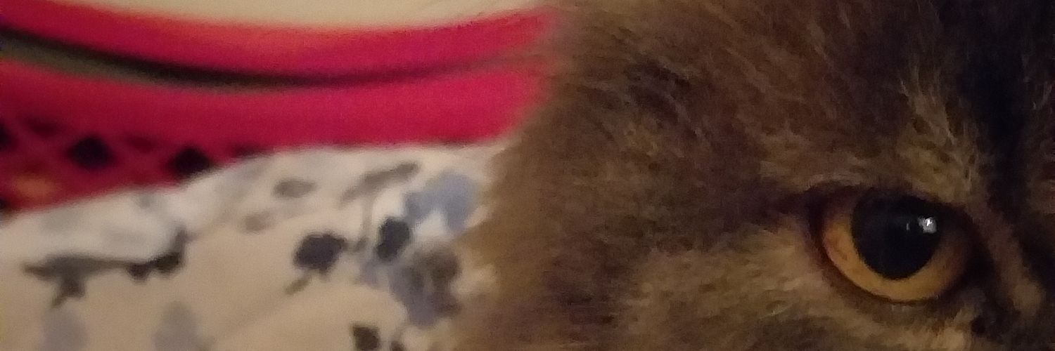 re_aj_t's profile banner image