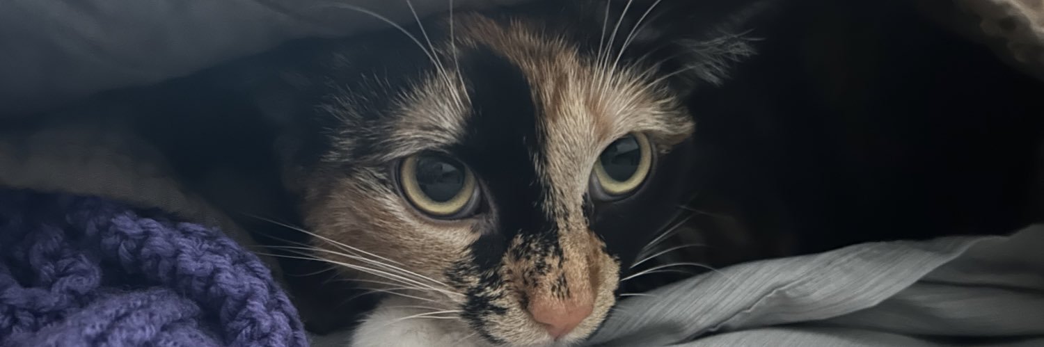 HannahBee331's profile banner image