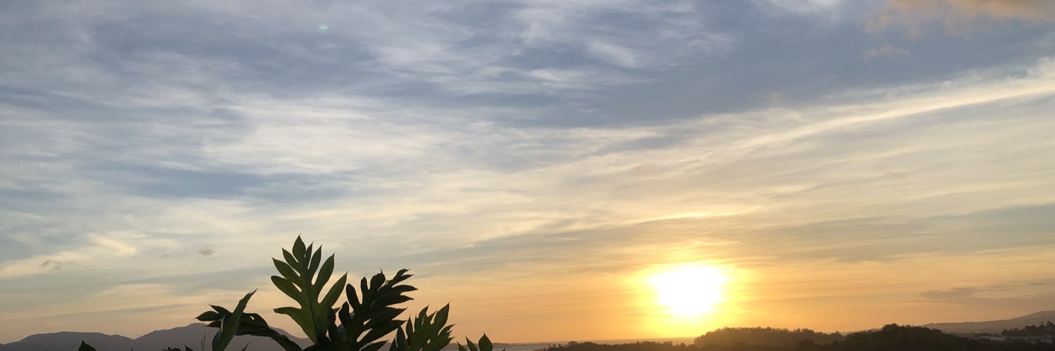 Caraibedreamer's profile banner image